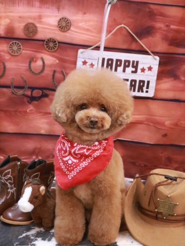 20260116こじろうくん