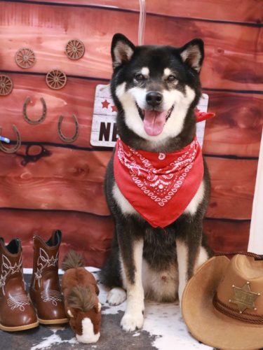 20260117ジローくん