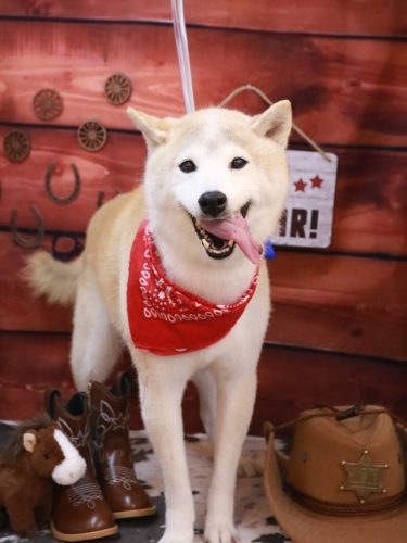 20260117ハナ子ちゃん