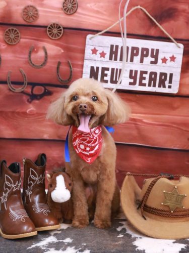 20260117このはちゃん