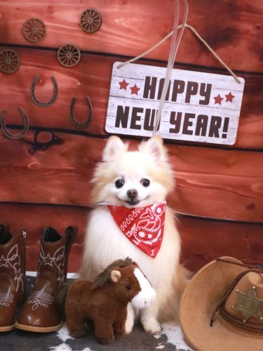 20260117小豆くん