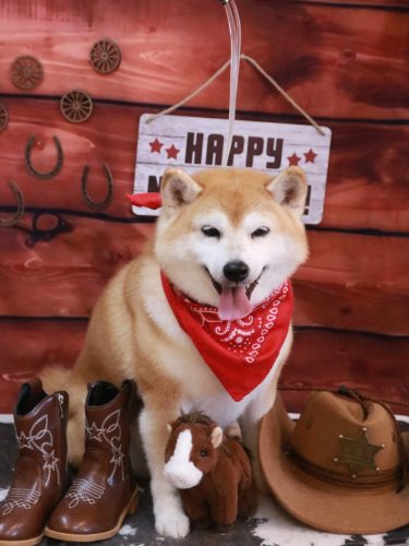 20260117初ちゃん