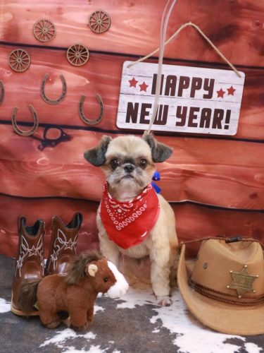 20260117じじくん