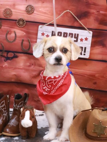 20260117リリーちゃん