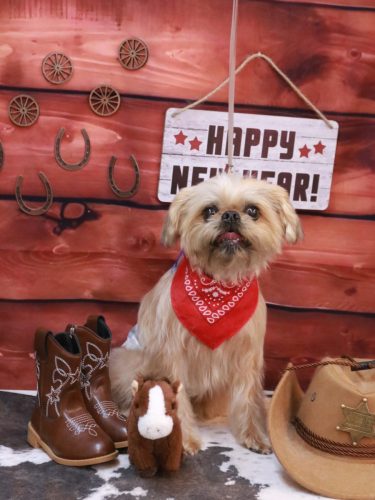 20260118ムーくん