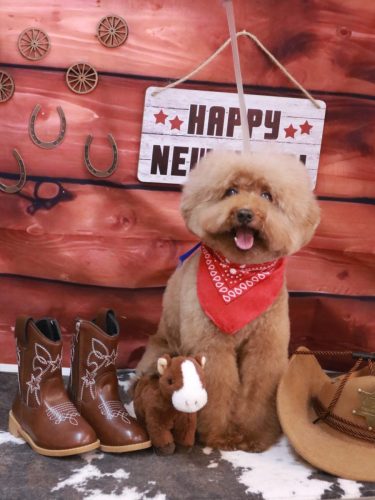 20260118カイくん