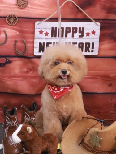 20260118ソラくん