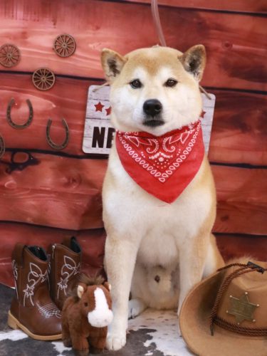 20260118ススムくん