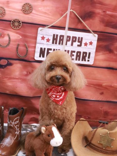 20260118ルアナちゃん