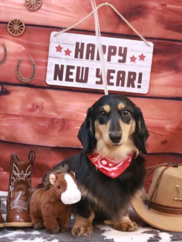 20260118おうたくん