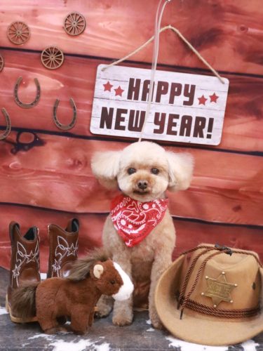 20260118そらくん