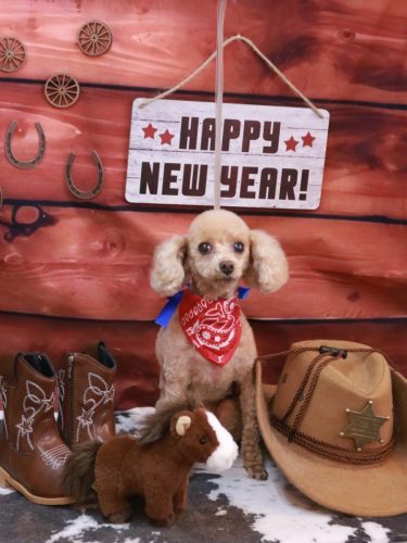 20260118バニラちゃん