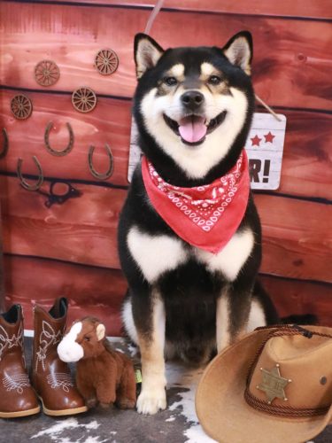 20260118ココくん