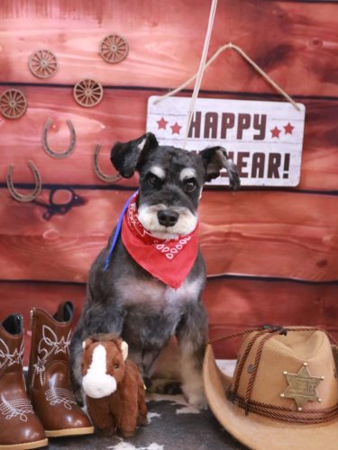 20260118ジジくん