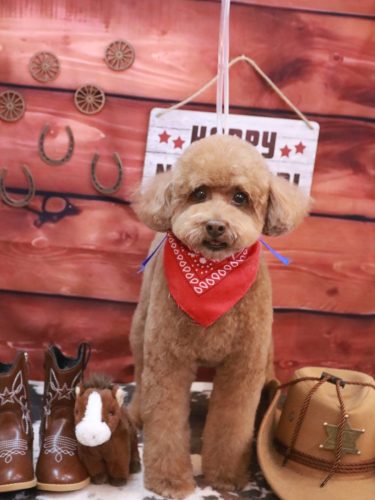 20260120ぷぷくん