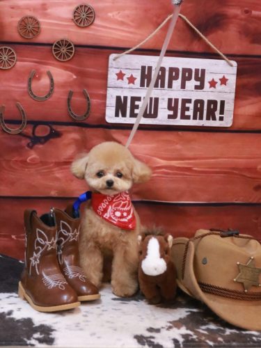 20260120あむちゃん