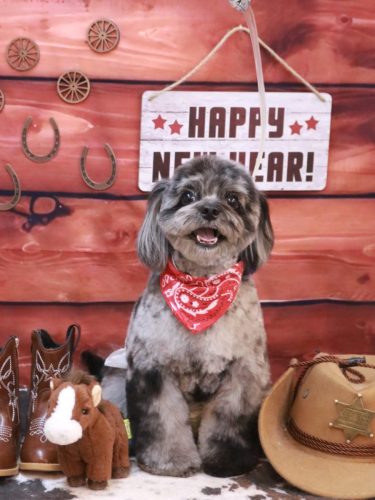 20260120うにちゃん