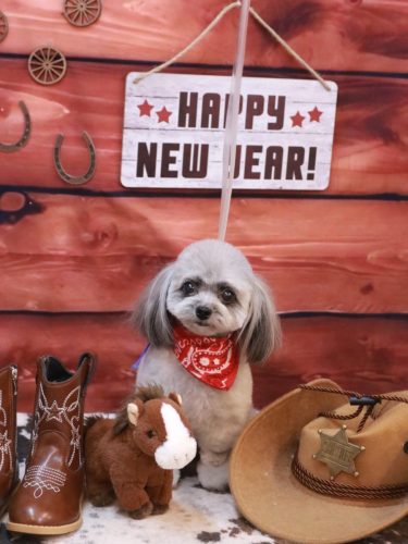 20260120べにちゃん