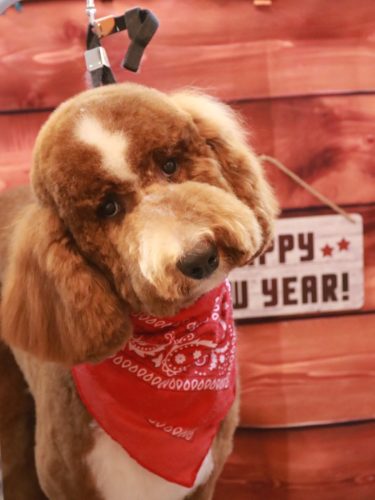 20260120アムくん