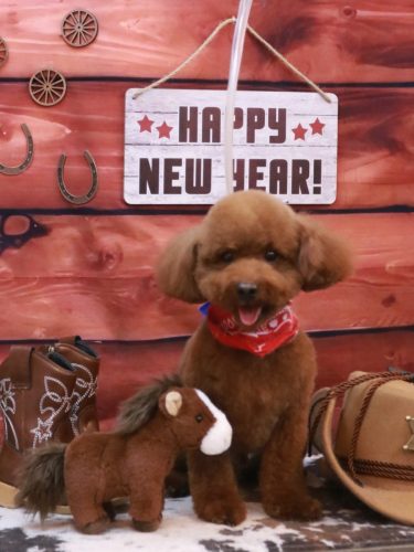 20260120そらくん