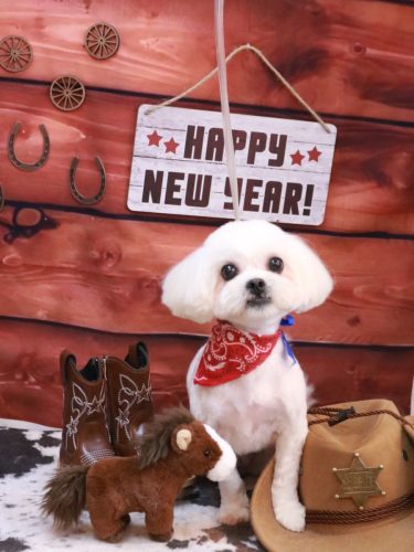 20260120とろろちゃん