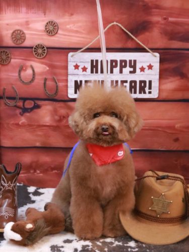 20260120てんくん