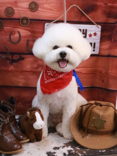 20260120姫葵ちゃん