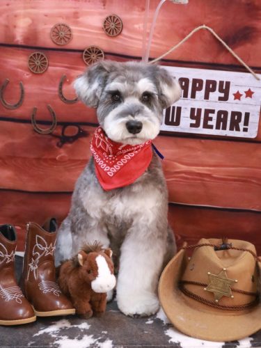 20260121ビッケくん