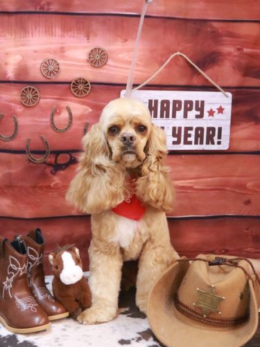 20260121グルートくん