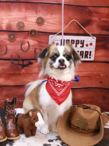 20260121マフィンちゃん 