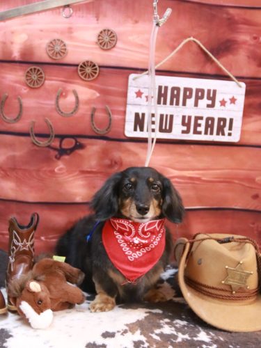 20260121モカちゃん 