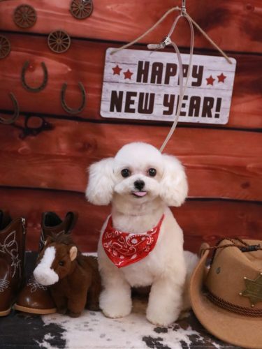 20260121シェリーちゃん