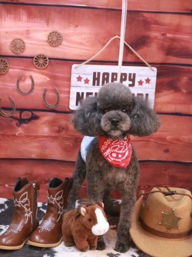 20260121ボーロくん