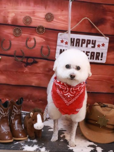 20260121MAPLEちゃん