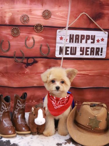 20260121キコちゃん