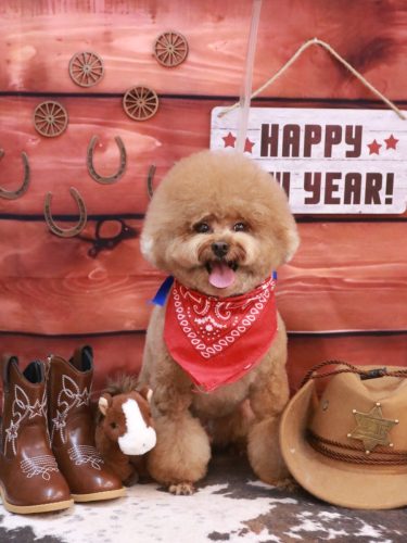 20260121ピノくん