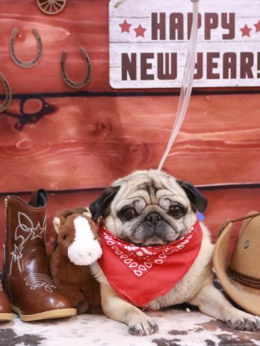 20260121くりこちゃん