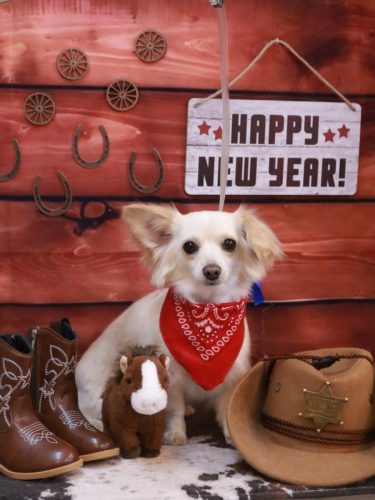 20260122めるちゃん