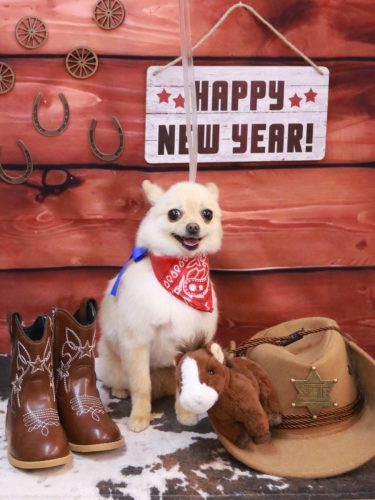 20260122チョコちゃん