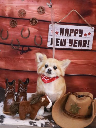 20260122りるちゃん