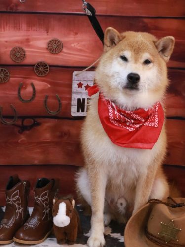 20260122こまくん