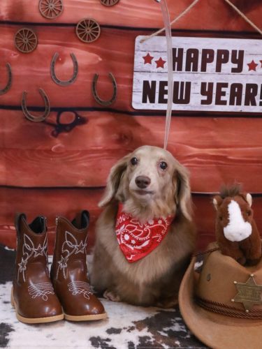 20260122ぺこちゃん