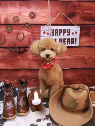 20260122ココちゃん