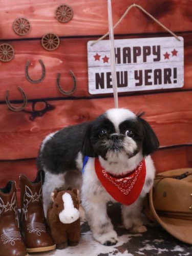 20260122たいがくん