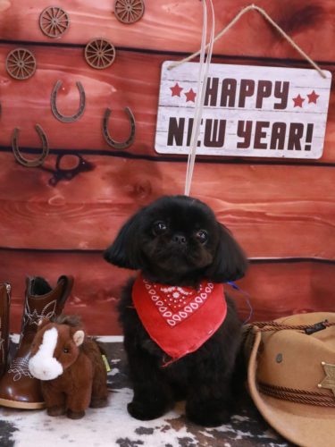 20260122つむぎちゃん