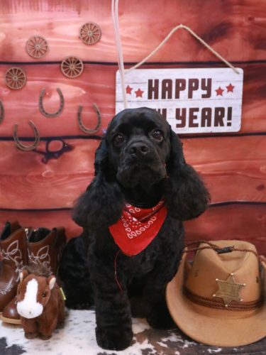 20260122そらくん