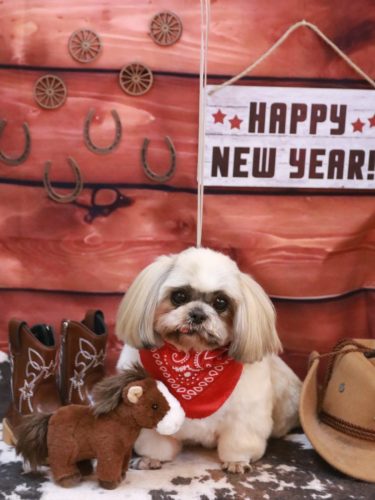 20260123ホタテちゃん