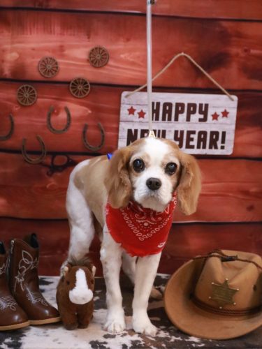 20260123マロくん