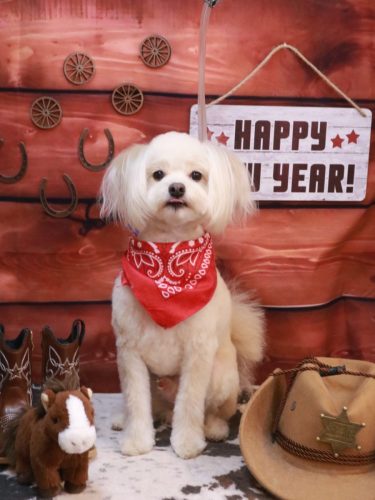 20260123ヌンくん