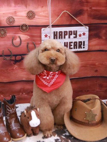 20260123まろんちゃん